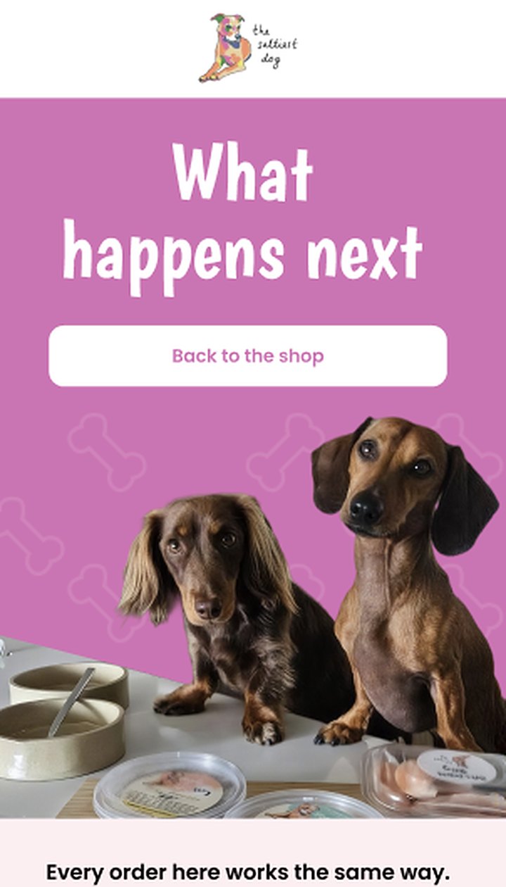 The Saltiest Dog post-purchase email